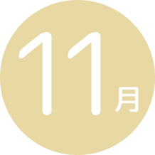 11月